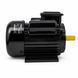 Електродвигун Helper HP-1302 2.2 кВт, 2800 об/хв HP - 1302 фото 3