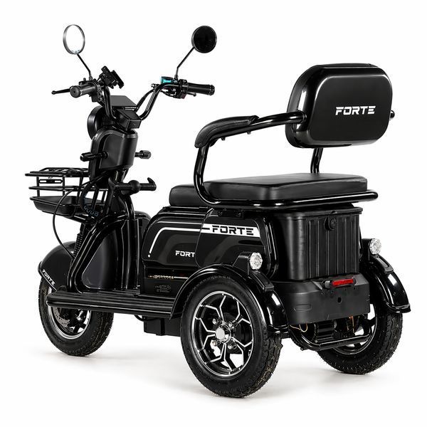 Триколісний скутер Forte Family-WN1072 чорний, 1000 Вт BP-163509 фото