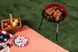 Круглый гриль для пикника 41x33.5x46.5 см Garden Line BBQ5276 гриль на ножках для дачи угольный гриль с решеткой для кемпинга CH-BBQ5276 фото 8