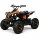 Електричний квадроцикл для підлітка Forte ATV1200QB 1200 Вт, 48В BP-138485 фото 2